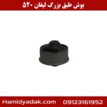 بوش طبق بزرگ لیفان 520
