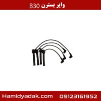 وایر بسترن B30